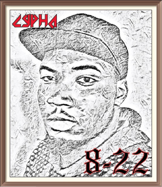 8-22 cover