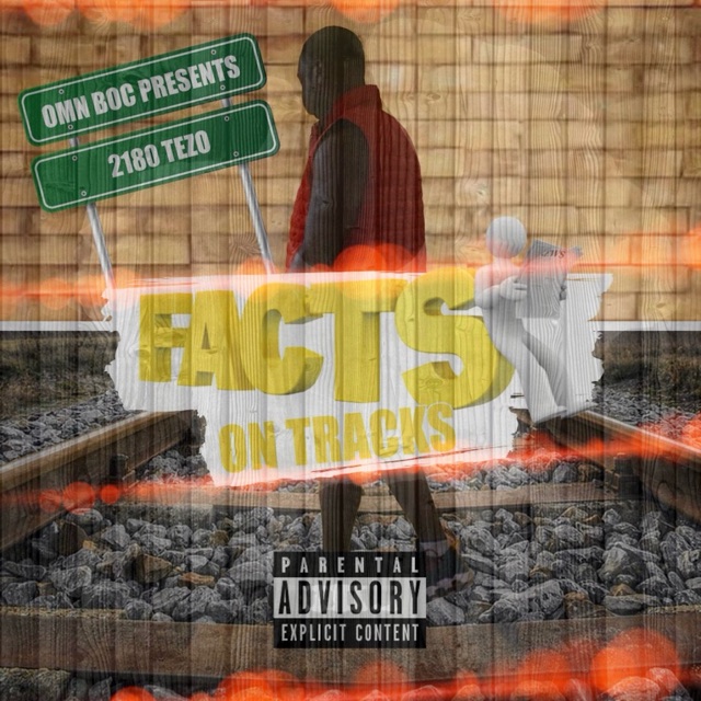 facts on tracks cover