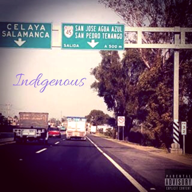 Indigenous by StylezE cover