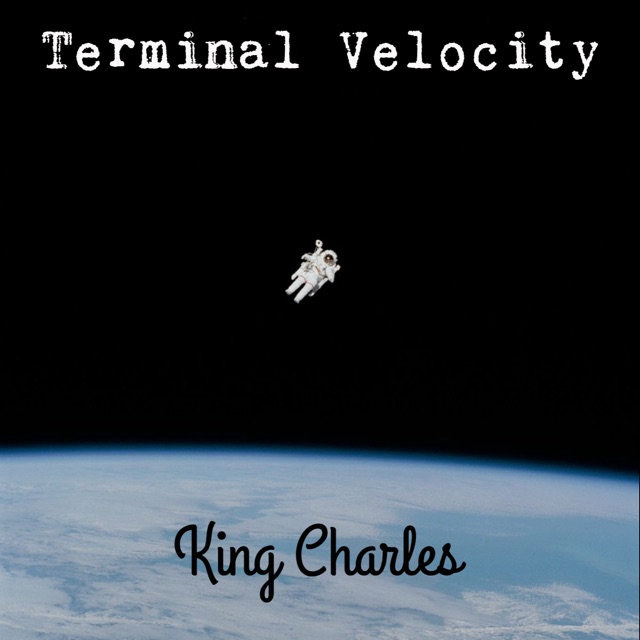 Terminal Velocity cover